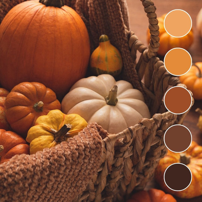 A Feast for the Eyes! Fall Mood Boards and Color Palette Inspiration!