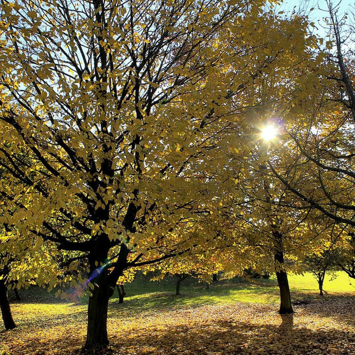 September Musings….