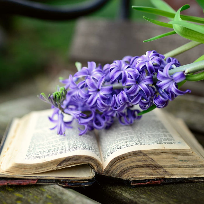 Garden Inspiration for DIY Springtime Jewelry