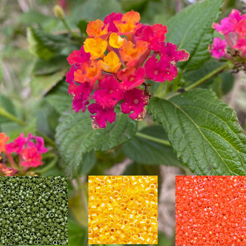 Summer Flower Color Inspirations