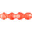 Czech Fire-Polish 4mm HurriCane Glass - Matte - Aloe Flower (50pcs)