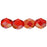 Czech Fire-Polish 6mm Twilight - Siam Ruby (25pcs)