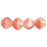 Czech Bicone 6 x 6mm Peaches and Cream (50pcs)