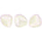 Czech Rose Petals 8 x 7mm Opalescent Crystal (50pcs)