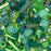 Toho Multi-Shape Glass Beads 'Wasabi' Green Color Mix 8 Gram Tube