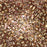 Czech Glass MiniDuo, 2-Hole Beads 2x4mm, Transparent Gold/Smoked Topaz Luster  (2.5 Inch Tube)