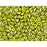 Matubo SuperDuo 2 x 5mm Metalust Yellow Gold 2-Hole Seed Bead 2.5-Inch Tube