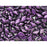 Czech Glass GemDuo, 2-Hole Diamond Shaped Beads 8x5mm, Black Currant Polychrome  (2.5" Tube)