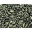 Czech Glass GemDuo, 2-Hole Diamond Shaped Beads 8x5mm, Polychrome Gold Rush  (2.5" Tube)