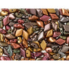 Czech Glass GemDuo, 2-Hole Diamond Shaped Beads 8x5mm, Matte Metallic Bronze Iris  (2.5