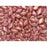 Czech Glass GemDuo, 2-Hole Diamond Shaped Beads 8x5mm, Opaque Pink Luster  (2.5" Tube)