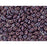 Matubo SuperDuo 2 x 5mm Opaque Amethyst Nebula 2-Hole Seed Bead 2.5-Inch Tube