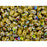 Matubo SuperDuo 2 x 5mm Opaque Beige - Vitral 2-Hole Seed Bead 2.5-Inch Tube