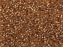 Miyuki 11/0 Trans Silver Lined Golden Bronze Delica Seed Beads 2.5-Inch Tube