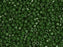 Miyuki 11/0 Opaque Forest Green Delica Seed Beads 2.5-Inch Tube