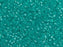Miyuki 11/0 Trans Matte Turquoise Delica Seed Beads 2.5-Inch Tube