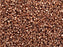Miyuki 11/0 Metallic Bright Copper Delica Seed Bead 2.5-Inch Tube