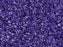 Miyuki 11/0 Color-Lined Sparkle Clear/Dark Purple Delica Seed Beads 2.5-Inch Tube