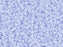 Miyuki 11/0 Opaque Arctic Blue Delica Seed Beads 2.5-Inch Tube