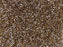 Miyuki 11/0 Transparent Sable Brown Luster Delica Seed Beads 2.5-Inch Tube