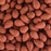PRECIOSA Czech Glass Drop Bead Strand 6x9mm, Velvet Terracotta