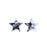 20mm Black and White Acetate Star Charm (1 Pair)