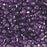 Czech Glass, Domed Teacup Beads 4x2mm, Tanzanite (2.5" Tube)