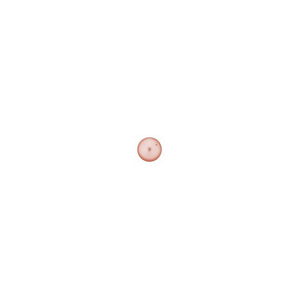 PRESTIGE Crystal, #5810 Round Pearl Bead 2mm, Rose Peach (1 Piece)