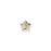 PRESTIGE Crystal, #H2754 Hotfix Star Flower Flatback Rhinestone 4mm, Crystal Golden Shadow (1 Piece)