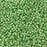 Toho Aiko Seed Beads, 11/0 #560 'Galvanized Sea Foam' (4 Grams)