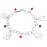 Retired - Luck Be a Lady Charm Bracelet