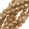 Czech Fire Polished Glass Beads 3mm Round Matte Metallic Gold (50 pcs)