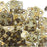 CzechMates Glass, QuadraTile 4-Hole Square Beads 6mm, Transparent Green Luster (2.5" Tube)