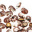 SuperDuo 2-Hole Czech Glass Beads, Apollo Gold, 2x5mm, 8g Tube