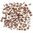 SuperDuo 2-Hole Czech Glass Beads, Apollo Gold, 2x5mm, 8g Tube