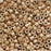 Miyuki Delica Seed Beads, 11/0 Size, Galvanized Silver Frost Champagne DB1152 (2.5" Tube)