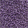 Miyuki Delica Seed Beads, 11/0, Galvanized Silver Frost Eggplant Purple DB1185 (2.5