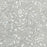 Miyuki Delica Seed Beads, 11/0 Size, #271 Galvanized Crystal (2.5" Tube)