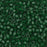 Miyuki Delica Seed Beads, 11/0 Size, #767 Forest Green Matte Transparent (2.5" Tube)