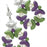 Retired - Lucca Earrings