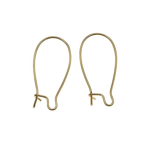 Earring Findings, Kidney Wire Hook 25mm, Antiqued Brass (10 Pairs)