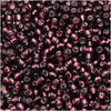 Toho Round Seed Beads 11/0 26C 'Silver Lined Amethyst' 8 Gram Tube
