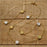 Paw Prints on Parade Necklace