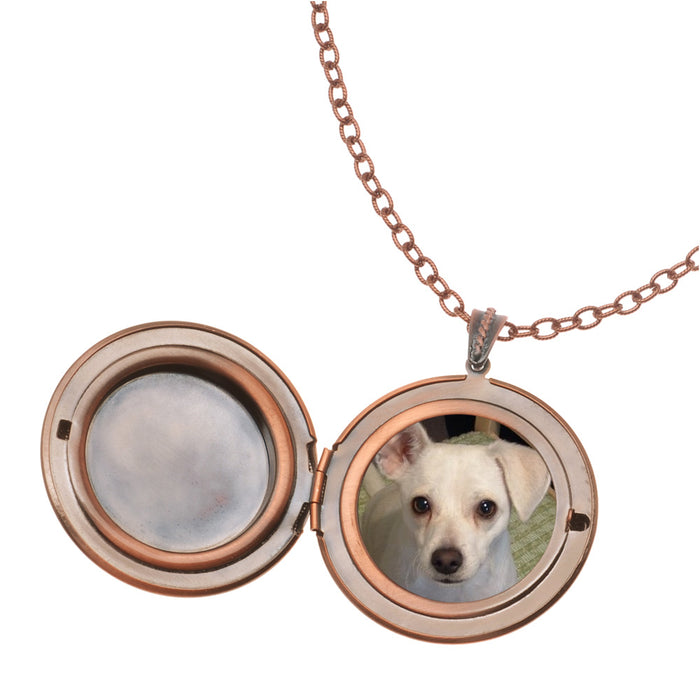 Retired - Brighton Locket