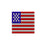 Star Spangled Necklace